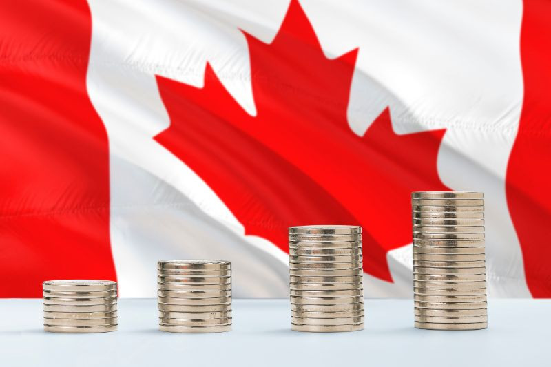 Navigating the Path to Work in Canada: A Comprehensive Guide on Canadian Work Visas