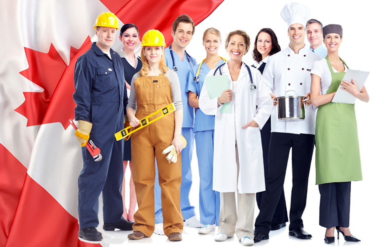 Navigating the Pathway to Canada: A Comprehensive Guide to the Federal Skilled Trades Program