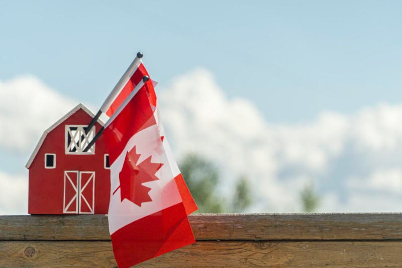 Navigating Canada’s Provincial Nominee Immigration Programs: Your Pathway to a New Life