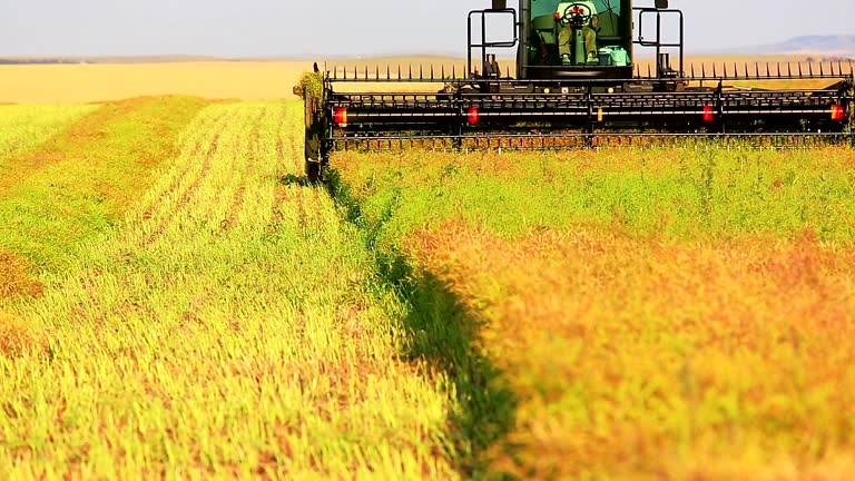 Unlocking New Horizons: The Alberta Immigration Farm Stream