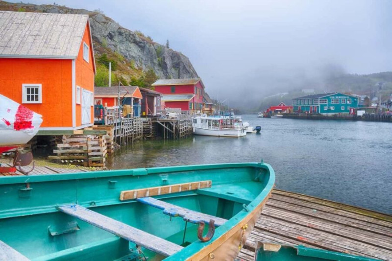 Newfoundland's Leap into the Digital Future: IT Jobs Now In-Demand