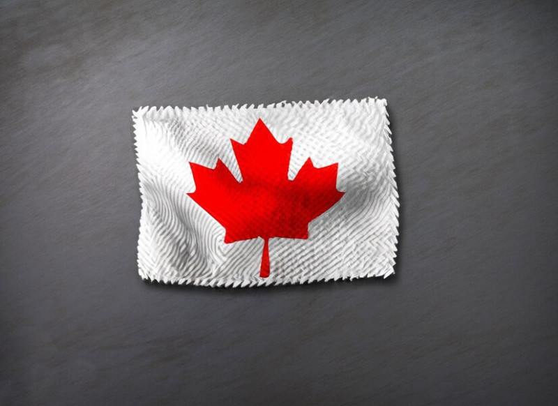 Navigating the Ontario Express Entry Streams: Your Pathway to Immigrate to Canada