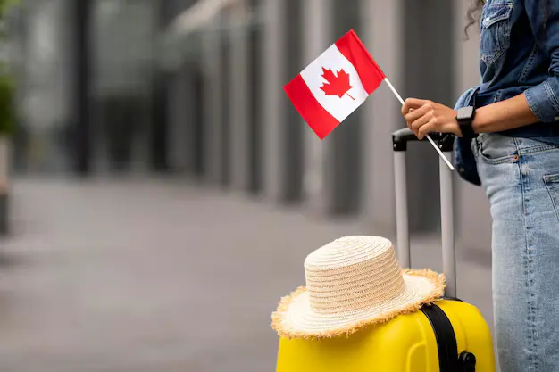 Understanding Immigration, Refugees, and Citizenship Canada (IRCC)
